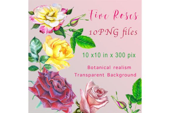 Watercolor Realism Five Roses PNG Files: Elevating Digital and Print Design